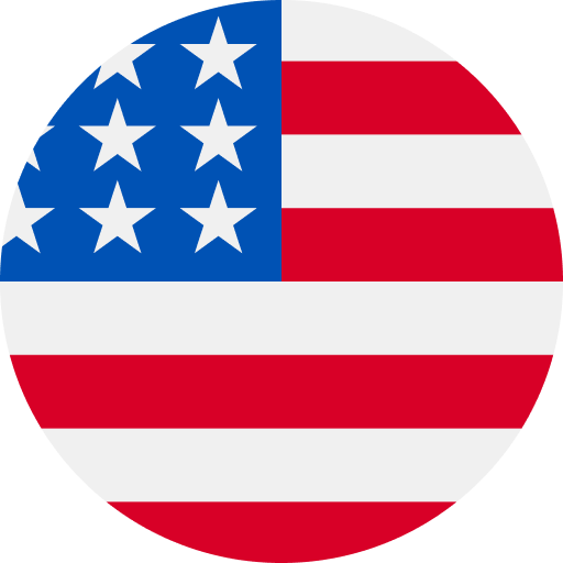 Honolulu Flag
